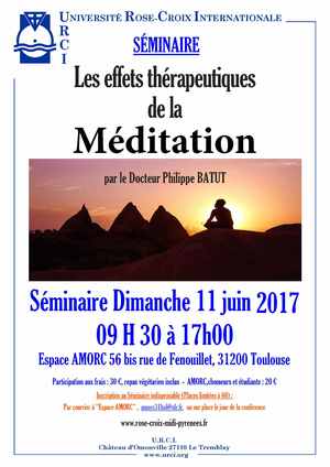 diplome universitaire meditation toulouse