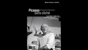 Picasso sans cliché (2017)
