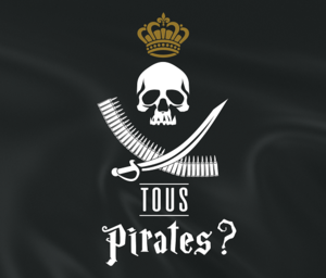 Tous pirates ? (2017)