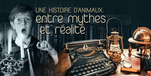Une histoire d'animaux : entre mythes et réalité (2017)