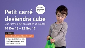 Petit carré deviendra cube (2016)