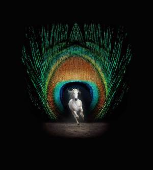 Métamorphoses : Nouveau spectacle équestre onirique (2017)