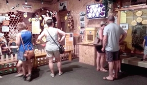 Visiter le musée (2017)