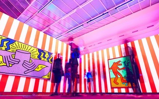 La culture à distance