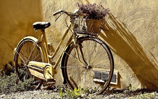 Un amour de vélo
