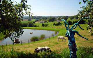 Escapade à Ellezelles, au cœur du Pays des Collines