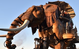 Découvrir Nantes à dos d'éléphant