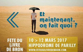 Fête du livre de Bron