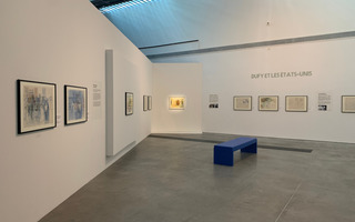 De Raoul Dufy à Hélène Marcoz, l'art malgré tout