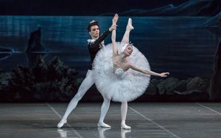 Le lac des cygnes