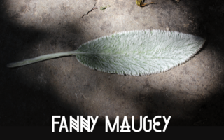 Derniers jours pour l'exposition Fanny Maugey : contre-feu, à Belfort