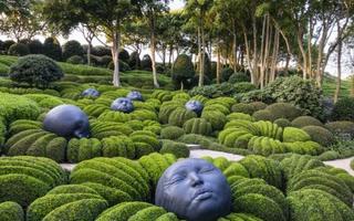 Rêver devant les jardins d'Etretat