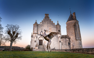 Voir Animalis (Cité Royale de Loches)
