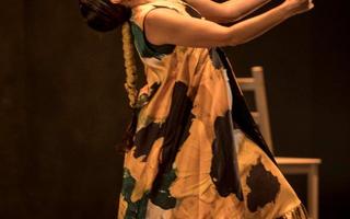 Festival international Arte Flamenco