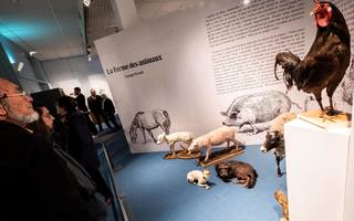 Un animal, des animots, à Tours