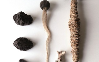 Réouverture de La cuisine, centre d’art et de design de Nègrepelisse