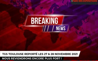 Report de la 14ème édition du salon Pop Culture TGS Toulouse Occitanie Game Show
