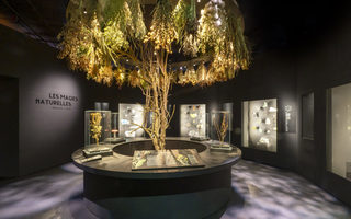 Magies-Sorcelleries, au Muséum de Toulouse