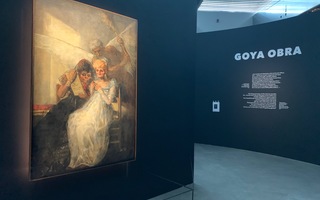 Goya et ses échos
