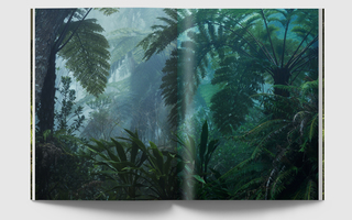 Jungles de papier