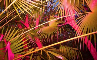 0f8071836ab8780645967bc0d0f714557ad4d6af