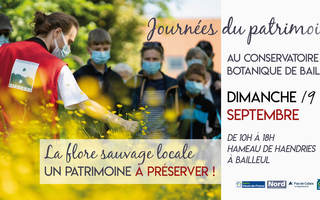 La flore sauvage locale : un patrimoine à préserver