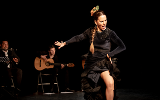Tablao danse flamenca La Fabia