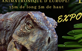 L'univers des dinosaures