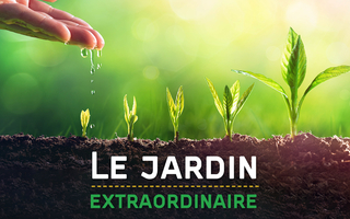 Le jardin extraordinaire