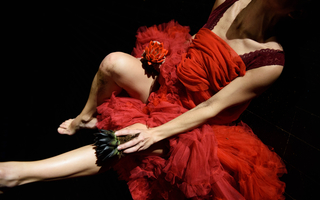 OLGA PERICET : La Espina que quiso ser flor, o la flor que soñó con ser bailaora