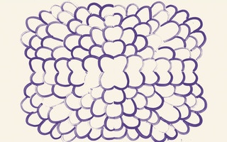 B5329b1a49d9eca93cd10e84d3ffcdd704ebd5c7