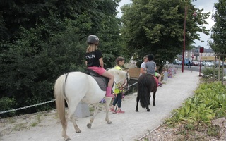 Balades à poney