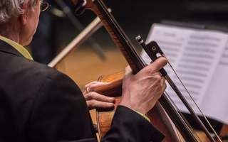 Une brève histoire de la musique